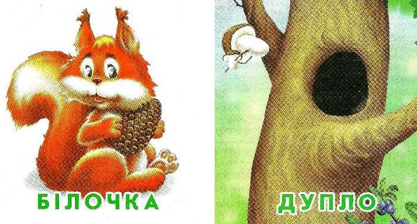 хто де живе картонка книга    формат А7 Ціна (цена) 23.60грн. | придбати  купити (купить) хто де живе картонка книга    формат А7 доставка по Украине, купить книгу, детские игрушки, компакт диски 2