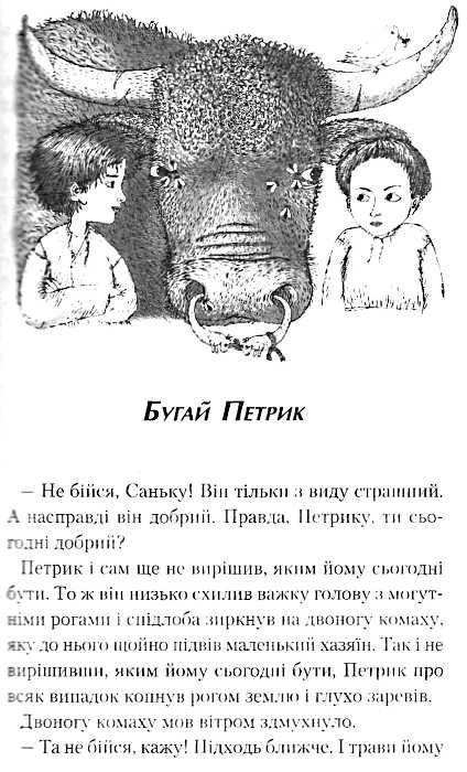 джури козака швайки роман перша книга тетралогії джури Ціна (цена) 222.04грн. | придбати  купити (купить) джури козака швайки роман перша книга тетралогії джури доставка по Украине, купить книгу, детские игрушки, компакт диски 3