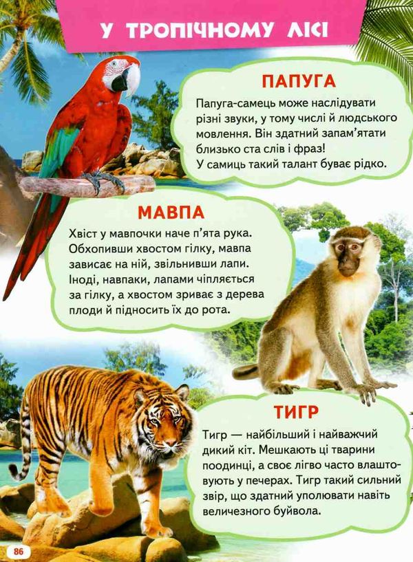 велика книга знань для малюків Ціна (цена) 328.70грн. | придбати  купити (купить) велика книга знань для малюків доставка по Украине, купить книгу, детские игрушки, компакт диски 7