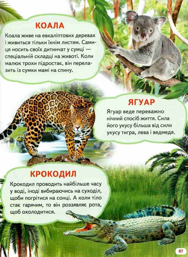 велика книга знань для малюків Ціна (цена) 328.70грн. | придбати  купити (купить) велика книга знань для малюків доставка по Украине, купить книгу, детские игрушки, компакт диски 8