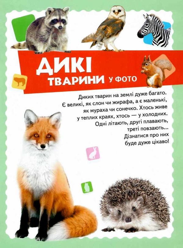 велика книга знань для малюків Ціна (цена) 328.70грн. | придбати  купити (купить) велика книга знань для малюків доставка по Украине, купить книгу, детские игрушки, компакт диски 6