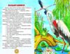 казки веселка казковими стежинками книга Ціна (цена) 100.50грн. | придбати  купити (купить) казки веселка казковими стежинками книга доставка по Украине, купить книгу, детские игрушки, компакт диски 2