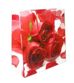 пакет подарунковий середній 23х22 см