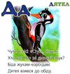 пухнаста абетка картонка книга    формат А6 Ціна (цена) 56.50грн. | придбати  купити (купить) пухнаста абетка картонка книга    формат А6 доставка по Украине, купить книгу, детские игрушки, компакт диски 2