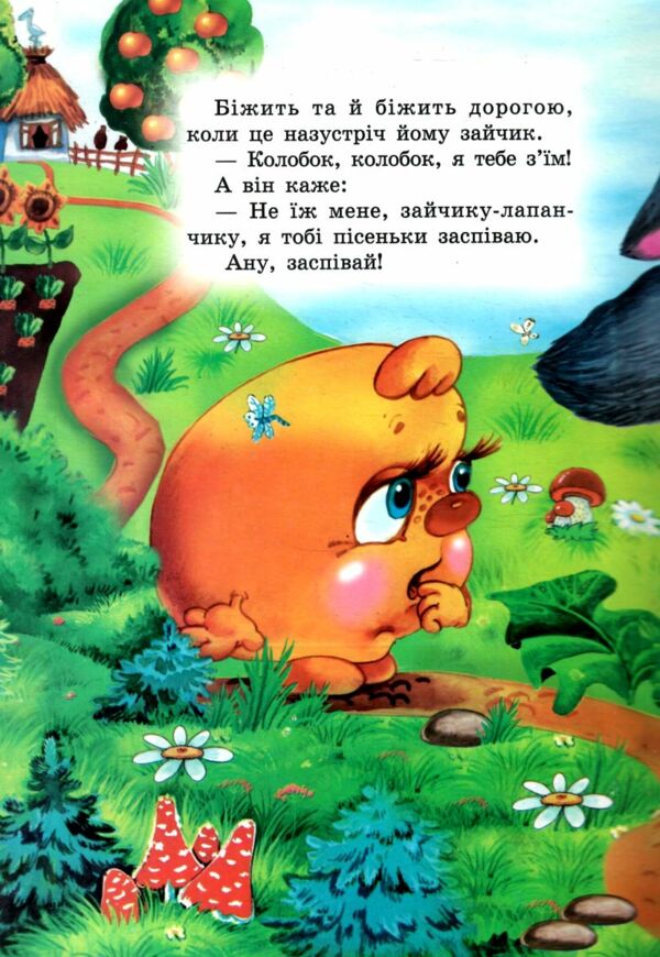 Колобок книжка картонка а4 Ціна (цена) 35.00грн. | придбати  купити (купить) Колобок книжка картонка а4 доставка по Украине, купить книгу, детские игрушки, компакт диски 1