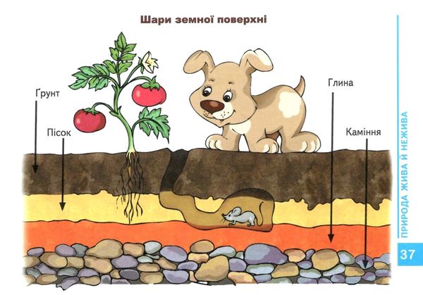 мамина школа моя планета земля Ціна (цена) 60.20грн. | придбати  купити (купить) мамина школа моя планета земля доставка по Украине, купить книгу, детские игрушки, компакт диски 5