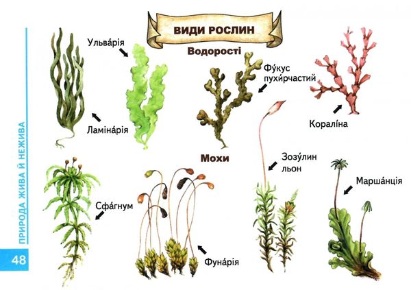 мамина школа моя планета земля Ціна (цена) 86.00грн. | придбати  купити (купить) мамина школа моя планета земля доставка по Украине, купить книгу, детские игрушки, компакт диски 6