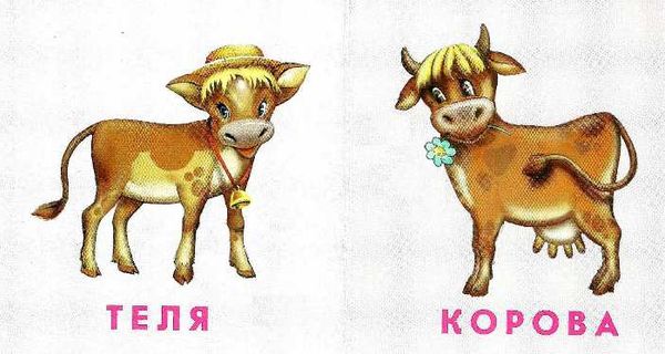 хто чия мама картонка книга    формат А7 Ціна (цена) 22.60грн. | придбати  купити (купить) хто чия мама картонка книга    формат А7 доставка по Украине, купить книгу, детские игрушки, компакт диски 2