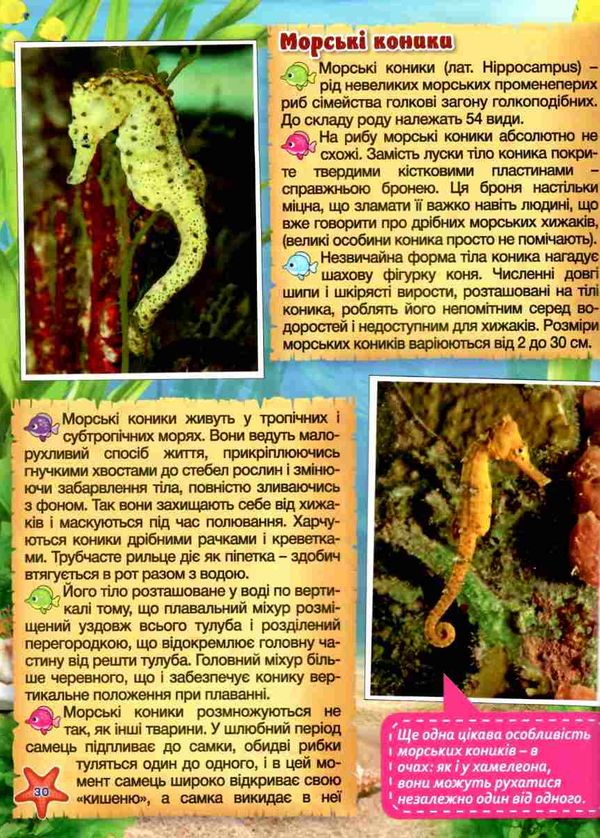 енциклопедія дитяча підводний світ велика Ціна (цена) 271.00грн. | придбати  купити (купить) енциклопедія дитяча підводний світ велика доставка по Украине, купить книгу, детские игрушки, компакт диски 8