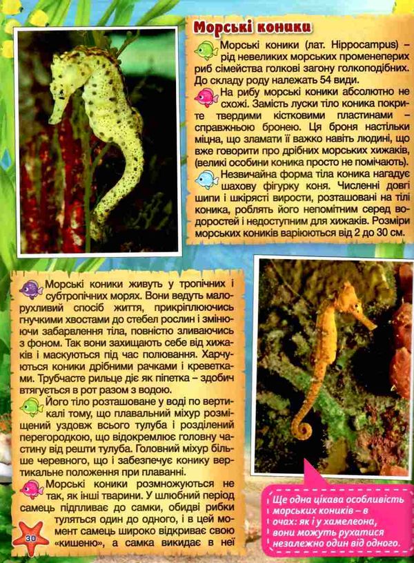 енциклопедія дитяча підводний світ велика Ціна (цена) 271.00грн. | придбати  купити (купить) енциклопедія дитяча підводний світ велика доставка по Украине, купить книгу, детские игрушки, компакт диски 7