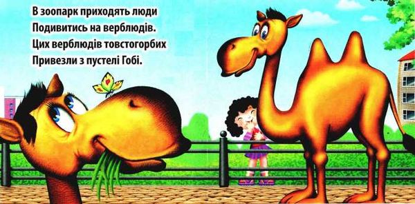 зоопарк картонка книга    формат А6 Ціна (цена) 59.00грн. | придбати  купити (купить) зоопарк картонка книга    формат А6 доставка по Украине, купить книгу, детские игрушки, компакт диски 2
