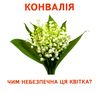 17 роздавальних карток їстивне та неїстивне картки Ціна (цена) 42.40грн. | придбати  купити (купить) 17 роздавальних карток їстивне та неїстивне картки доставка по Украине, купить книгу, детские игрушки, компакт диски 1