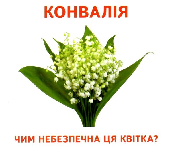 17 роздавальних карток їстивне та неїстивне картки Ціна (цена) 42.40грн. | придбати  купити (купить) 17 роздавальних карток їстивне та неїстивне картки доставка по Украине, купить книгу, детские игрушки, компакт диски 1