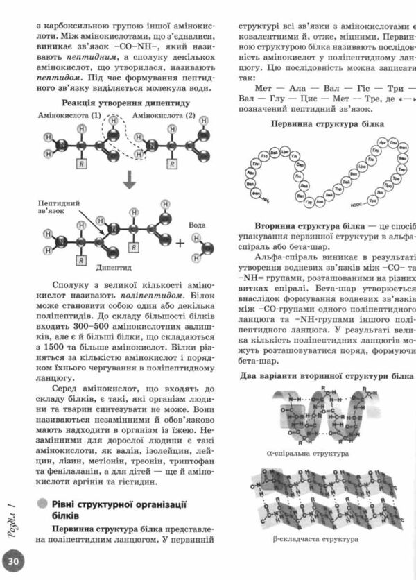 НМТ 2026 Біологія Повний курс із підготовки Ціна (цена) 381.65грн. | придбати  купити (купить) НМТ 2026 Біологія Повний курс із підготовки доставка по Украине, купить книгу, детские игрушки, компакт диски 5