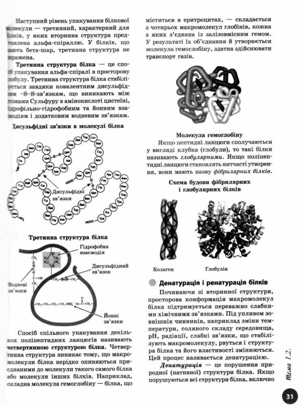 НМТ 2026 Біологія Повний курс із підготовки Ціна (цена) 381.65грн. | придбати  купити (купить) НМТ 2026 Біологія Повний курс із підготовки доставка по Украине, купить книгу, детские игрушки, компакт диски 6