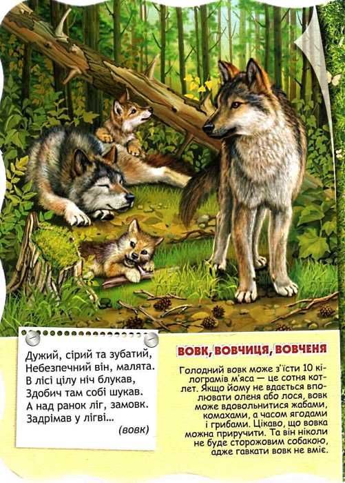 лісові тварини серія малятко-розумнятко книжка-картонка Ціна (цена) 42.00грн. | придбати  купити (купить) лісові тварини серія малятко-розумнятко книжка-картонка доставка по Украине, купить книгу, детские игрушки, компакт диски 2