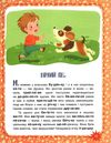 читаємо по черзі пухнасті цікавинки книга    2-й рівень складності Ціна (цена) 44.00грн. | придбати  купити (купить) читаємо по черзі пухнасті цікавинки книга    2-й рівень складності доставка по Украине, купить книгу, детские игрушки, компакт диски 3