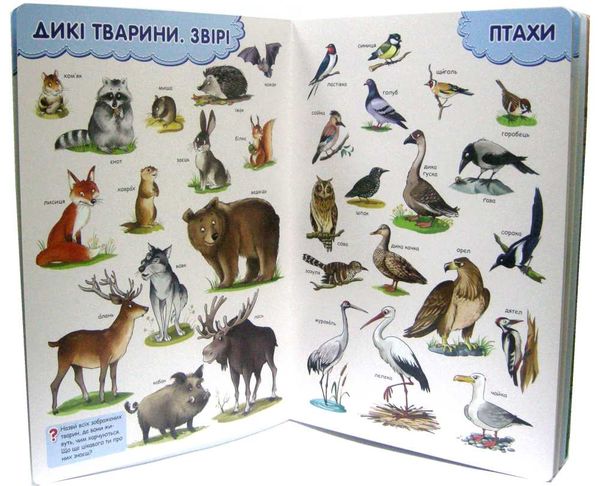 розвиватика підручник для малюків Ціна (цена) 477.80грн. | придбати  купити (купить) розвиватика підручник для малюків доставка по Украине, купить книгу, детские игрушки, компакт диски 2