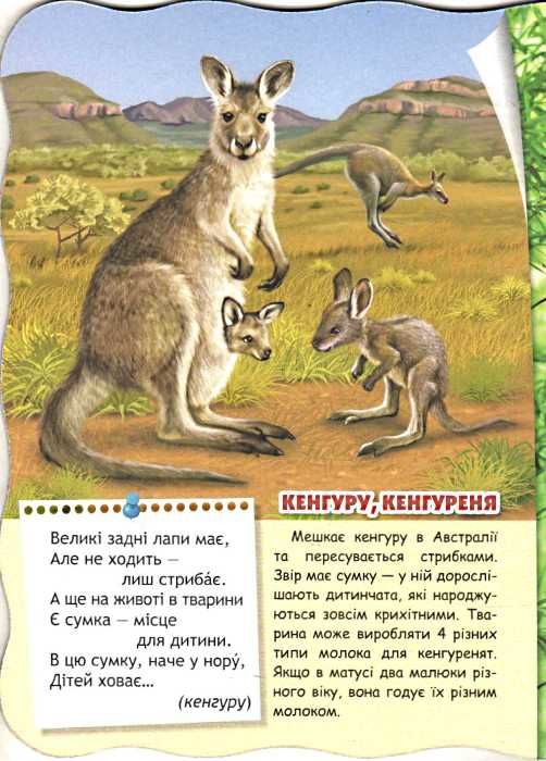 екзотичні тварини серія малятко-розумнятко книжка-картонка  фед Ціна (цена) 44.80грн. | придбати  купити (купить) екзотичні тварини серія малятко-розумнятко книжка-картонка  фед доставка по Украине, купить книгу, детские игрушки, компакт диски 3