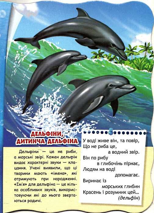 екзотичні тварини серія малятко-розумнятко книжка-картонка  фед Ціна (цена) 44.80грн. | придбати  купити (купить) екзотичні тварини серія малятко-розумнятко книжка-картонка  фед доставка по Украине, купить книгу, детские игрушки, компакт диски 2