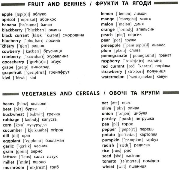 памятка для початкової школи англійська мова 1-4 класи базова лексика Ціна (цена) 14.03грн. | придбати  купити (купить) памятка для початкової школи англійська мова 1-4 класи базова лексика доставка по Украине, купить книгу, детские игрушки, компакт диски 4