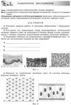 зошит з біології 8 клас робочий зошит для лабораторних робіт Матяш  Уточнюйте  строки доставки (2-5 діб) Ціна (цена) 29.75грн. | придбати  купити (купить) зошит з біології 8 клас робочий зошит для лабораторних робіт Матяш  Уточнюйте  строки доставки (2-5 діб) доставка по Украине, купить книгу, детские игрушки, компакт диски 4