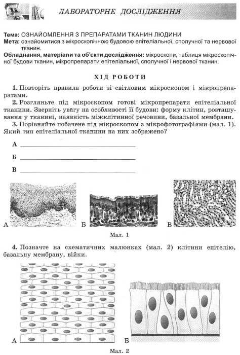 зошит з біології 8 клас робочий зошит для лабораторних робіт Матяш  Уточнюйте  строки доставки (2-5 діб) Ціна (цена) 29.75грн. | придбати  купити (купить) зошит з біології 8 клас робочий зошит для лабораторних робіт Матяш  Уточнюйте  строки доставки (2-5 діб) доставка по Украине, купить книгу, детские игрушки, компакт диски 4