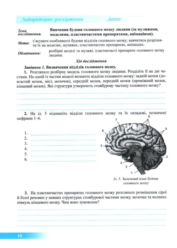 Біологія 8 клас Зошит для дослідницьких робіт за програмою Балан Ціна (цена) 60.00грн. | придбати  купити (купить) Біологія 8 клас Зошит для дослідницьких робіт за програмою Балан доставка по Украине, купить книгу, детские игрушки, компакт диски 4