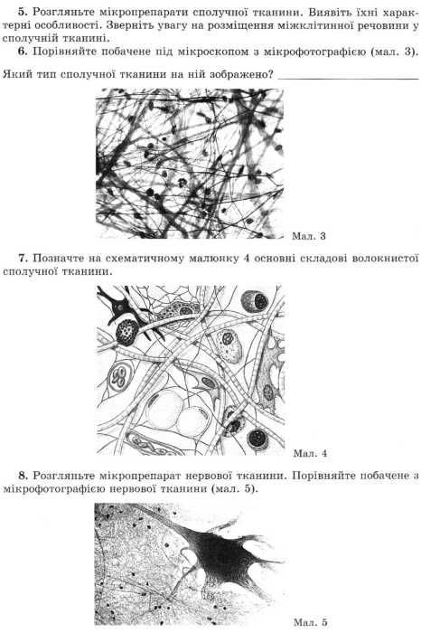 зошит з біології 8 клас робочий зошит для лабораторних робіт Матяш Ціна (цена) 29.75грн. | придбати  купити (купить) зошит з біології 8 клас робочий зошит для лабораторних робіт Матяш доставка по Украине, купить книгу, детские игрушки, компакт диски 5