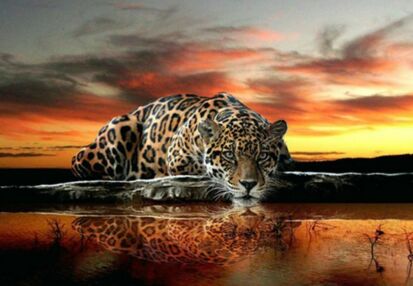 Алмазна мозаїка 50х65 SGK71727 Ягуар сила та грація "Strateg"