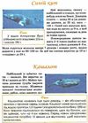 цікаві дивовижні енциклопедія супер Ціна (цена) 225.00грн. | придбати  купити (купить) цікаві дивовижні енциклопедія супер доставка по Украине, купить книгу, детские игрушки, компакт диски 2