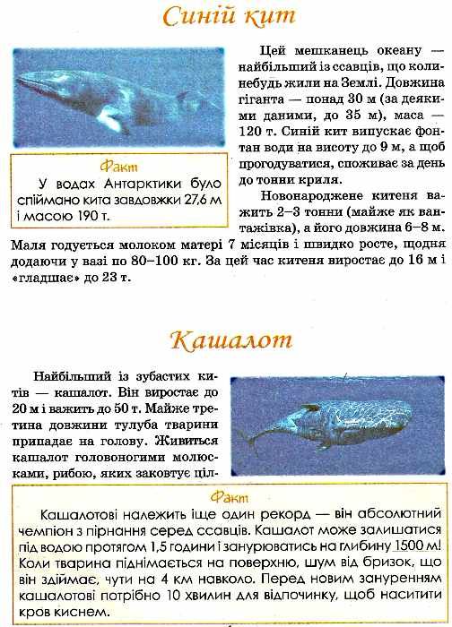 цікаві дивовижні енциклопедія супер Ціна (цена) 225.00грн. | придбати  купити (купить) цікаві дивовижні енциклопедія супер доставка по Украине, купить книгу, детские игрушки, компакт диски 2