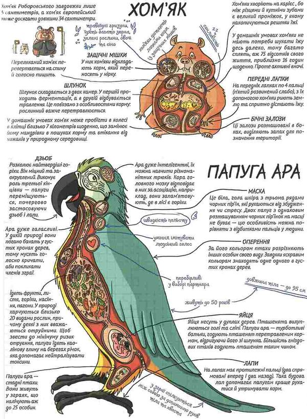 кухарська тварини як це працює книга Ціна (цена) 219.50грн. | придбати  купити (купить) кухарська тварини як це працює книга доставка по Украине, купить книгу, детские игрушки, компакт диски 4