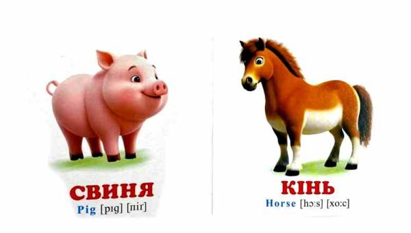Картонки Навколишній світ Звірятка+англ А7 Ціна (цена) 28.80грн. | придбати  купити (купить) Картонки Навколишній світ Звірятка+англ А7 доставка по Украине, купить книгу, детские игрушки, компакт диски 2