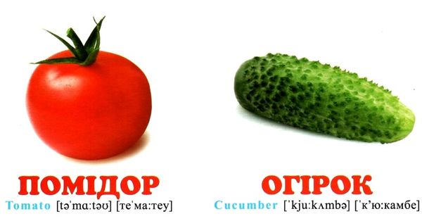 овочі серія навколишній світ картонка формат А7 Ціна (цена) 20.00грн. | придбати  купити (купить) овочі серія навколишній світ картонка формат А7 доставка по Украине, купить книгу, детские игрушки, компакт диски 2