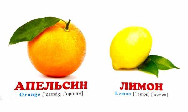 фрукти+англійські слова навколишній світ картонка формат А7 Ціна (цена) 28.80грн. | придбати  купити (купить) фрукти+англійські слова навколишній світ картонка формат А7 доставка по Украине, купить книгу, детские игрушки, компакт диски 2