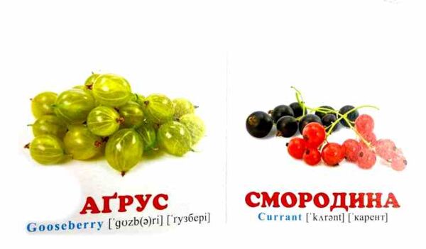 фрукти+англійські слова навколишній світ картонка формат А7 Ціна (цена) 28.80грн. | придбати  купити (купить) фрукти+англійські слова навколишній світ картонка формат А7 доставка по Украине, купить книгу, детские игрушки, компакт диски 3