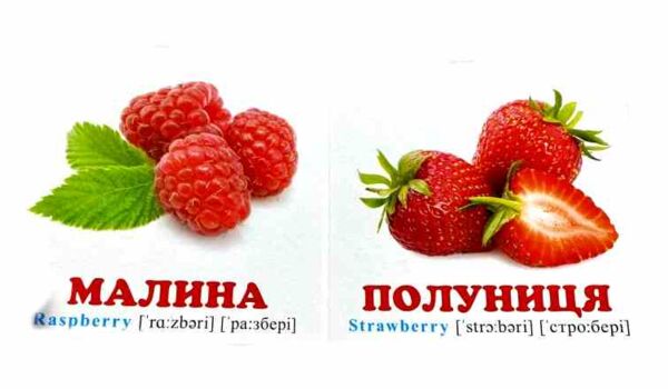 фрукти+англійські слова навколишній світ картонка формат А7 Ціна (цена) 28.80грн. | придбати  купити (купить) фрукти+англійські слова навколишній світ картонка формат А7 доставка по Украине, купить книгу, детские игрушки, компакт диски 1