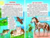 тварини і рослини книга    (серія пізнаємо світ разом) Ціна (цена) 110.40грн. | придбати  купити (купить) тварини і рослини книга    (серія пізнаємо світ разом) доставка по Украине, купить книгу, детские игрушки, компакт диски 7