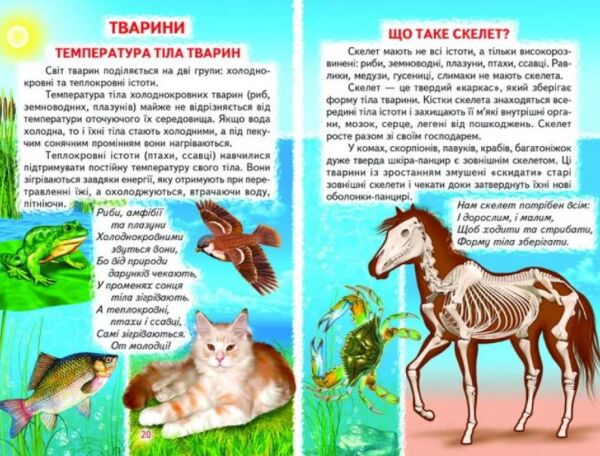 тварини і рослини книга    (серія пізнаємо світ разом) Ціна (цена) 110.40грн. | придбати  купити (купить) тварини і рослини книга    (серія пізнаємо світ разом) доставка по Украине, купить книгу, детские игрушки, компакт диски 7