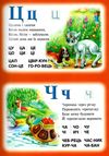 абетка картонка купити   ціна формат А4  товста Ціна (цена) 94.40грн. | придбати  купити (купить) абетка картонка купити   ціна формат А4  товста доставка по Украине, купить книгу, детские игрушки, компакт диски 2