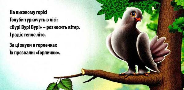 свійські та дикі книга    картонка а-6 формат Ціна (цена) 56.50грн. | придбати  купити (купить) свійські та дикі книга    картонка а-6 формат доставка по Украине, купить книгу, детские игрушки, компакт диски 2