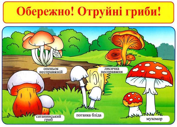 комплект наочності правила безпеки при користуванні газом та на воді, запобігання отруєння купити ці Ціна (цена) 54.30грн. | придбати  купити (купить) комплект наочності правила безпеки при користуванні газом та на воді, запобігання отруєння купити ці доставка по Украине, купить книгу, детские игрушки, компакт диски 2