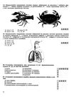 дпа 2022 9 клас біологія збірник завдань для підсумкових контрольних робіт з біології 9 клас купити  Ціна (цена) 38.25грн. | придбати  купити (купить) дпа 2022 9 клас біологія збірник завдань для підсумкових контрольних робіт з біології 9 клас купити  доставка по Украине, купить книгу, детские игрушки, компакт диски 5