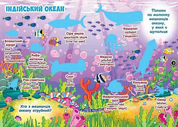 велика книжка розвиваючі наліпки + розумні завдання морські мешканці + англійська для малюків книга  Ціна (цена) 42.34грн. | придбати  купити (купить) велика книжка розвиваючі наліпки + розумні завдання морські мешканці + англійська для малюків книга  доставка по Украине, купить книгу, детские игрушки, компакт диски 2