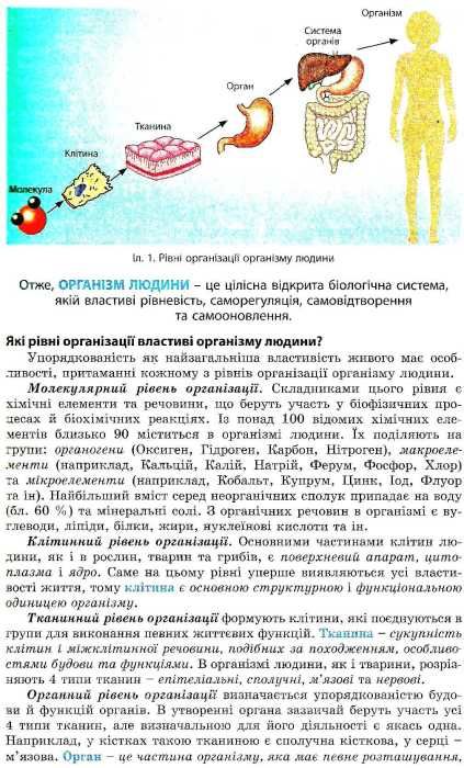 біологія 8 клас підручник Ціна (цена) 291.60грн. | придбати  купити (купить) біологія 8 клас підручник доставка по Украине, купить книгу, детские игрушки, компакт диски 6