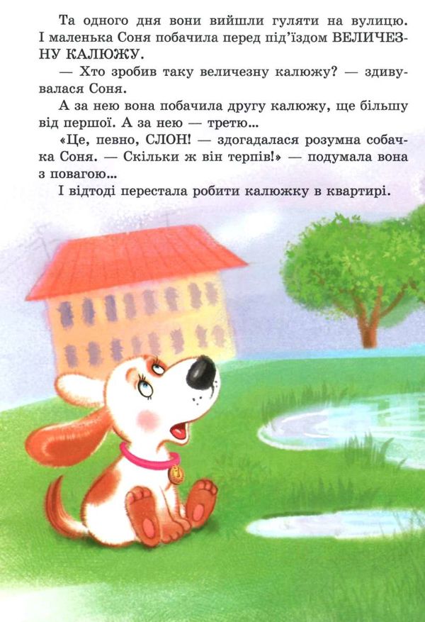 розумна собачка соня  Уточнюйте  строки доставки (2-5 діб) Ціна (цена) 240.00грн. | придбати  купити (купить) розумна собачка соня  Уточнюйте  строки доставки (2-5 діб) доставка по Украине, купить книгу, детские игрушки, компакт диски 6