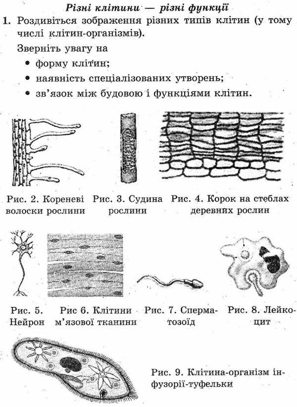 зошит з біології 9 клас для лабораторних та практичних робіт, лабораторних досліджень, проектів Сало Ціна (цена) 23.10грн. | придбати  купити (купить) зошит з біології 9 клас для лабораторних та практичних робіт, лабораторних досліджень, проектів Сало доставка по Украине, купить книгу, детские игрушки, компакт диски 5