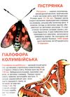 велика книжка метелики книга Ціна (цена) 35.40грн. | придбати  купити (купить) велика книжка метелики книга доставка по Украине, купить книгу, детские игрушки, компакт диски 3