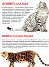 велика книжка кішки книга Ціна (цена) 34.60грн. | придбати  купити (купить) велика книжка кішки книга доставка по Украине, купить книгу, детские игрушки, компакт диски 3
